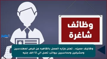 وظائف مميزة.. تعلن وزارة العمل بالقاهرة عن فرص لمهندسين ومشرفين ومحاسبين برواتب تصل إلى 12 ألف جنيه